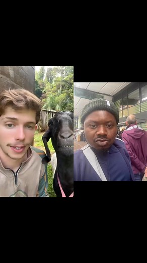 Funny people | Romanus Romulus