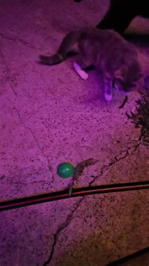 ArielDarkmoon on TikTok