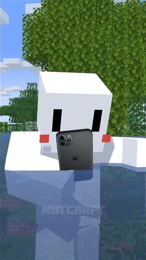 Flash Flood?! (Minecraft Animation Meme)