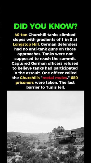 German Officers Refused to Believe These Tanks Made It Up the Hill #ww2 #tank #history