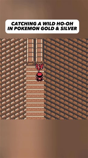 Carlo Pastena | Catching a Wild Ho-Oh in Pokemon Gold & Silver 👏🏻 This caught me by surprise 😮 Here is a step by step guide on how you can catch Ho-Oh:... | Instagram