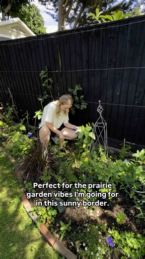 Love gardening? Subscribe to BBC Gardeners’ World Magazine, Britain’s best-selling gardening magazine and enjoy monthly inspiration, expert tips, and practical advice to make your garden flourish. Perfect for every gardener, from budding beginners to seasoned pros! | BBC Gardeners' World Magazine