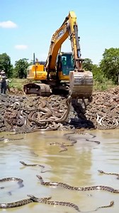 Not Enough Money in this World #snakes #money #fblifestyle | Shug and Eric