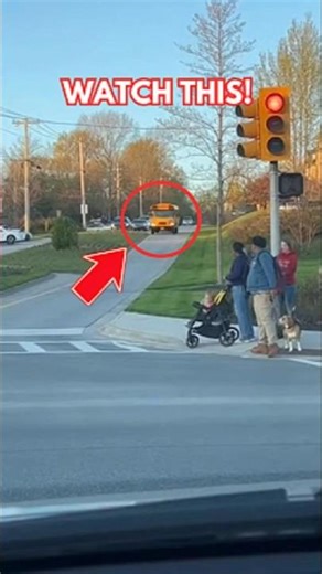 School Bus With Failed Brakes Swerves Into Median to Avoid Pedestrians