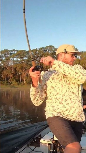 Z-man Goat Toadz - Giant Bass Topwater Blowup #bassfishing#frogfishing#floridafishing#shorts