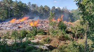 20K views · 23 reactions | Am Dienstagabend ist ersten Informationen zufolge einer großer Holzstapel am Bruno-Plache-Stadion in Flammen geraten. Die Feuerwehr war mit vier Fahrzeugen im Einsatz. https://www.lvz.de/Leipzig/Lokales/News-aus-Leipzig-und-zu-Corona-Aktuelle-Lage-im-Liveticker-am-30.6.2020 | LVZ Leipziger Volkszeitung | Facebook