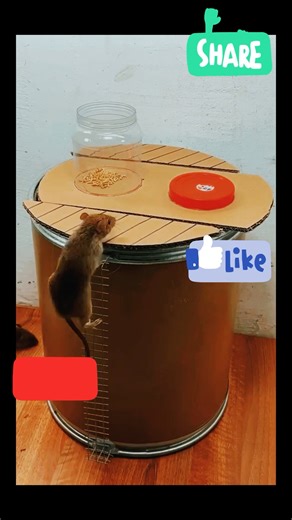 13 Eng Oson Uy Sharoitida Sichqon Tuzog‘i | DIY Mouse Trap Ideas #shorts