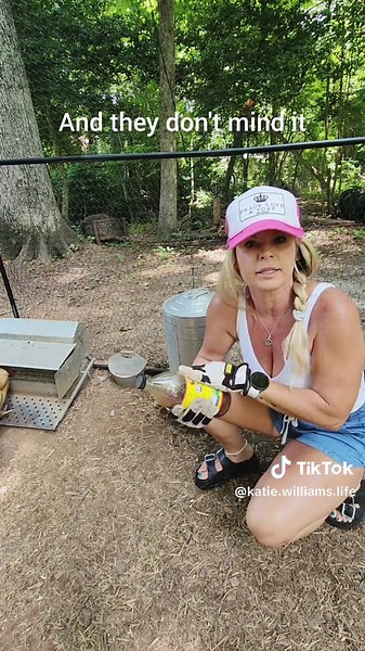 Preventing Pests in Chicken Coop: Tips & Tricks