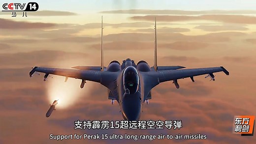 歼16d的造价比歼20还要贵！歼十六d电磁压制，歼二十隐身突防撕开防空缺口，歼十六机群以空中狼群战术实施饱和打击，前者是破门的手术刀，后者是扫荡的冲击钻#歼16