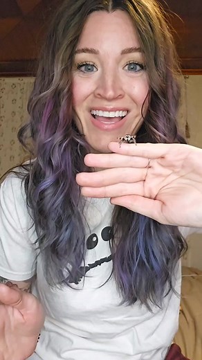 Spider Care: How to Handle Your New Spider Friend