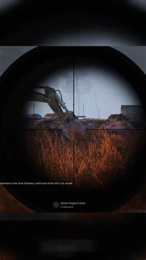 S.T.A.L.K.E.R Anomaly - Perfect shot #gameplay #stalker #stalkeranomaly #stalker2