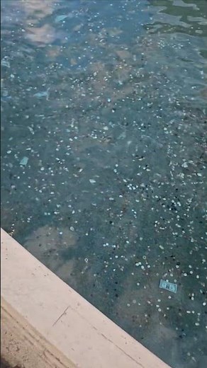 Wishing Well Wonders: Believe in Your Luck!