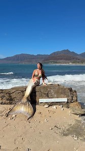 3.3M views · 20K reactions | Mermaid sells sea shells by the sea shore #professionalmermaid #mermaidtail #fairytale #mermaidcore #mermaid #ocean #Fantasy mermaid tail Merbella Studios Inc. | Mermaid Sirenity | Facebook