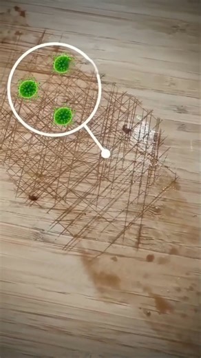 🦠 Neporézní nerezová ocel blokuje bakterie, takže jídlo je bezpečnější. 🌱 Bez BPA, ftalátů a plísní - ideální pro zdravou přípravu. 💧 Odolné a snadno se čistí! Klikněte níže a vyzkoušejte👇 | Vigoexpress