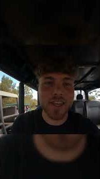 These Elephants Are SO Beautiful