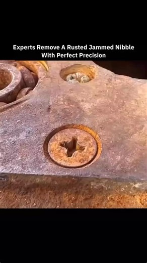 physics's man on Instagram: "What looks like a hopelessly rusted, jammed nibble is actually a test of experience, patience, and precision. To an untrained eye, brute force seems like the only solution. But experts know that rushing a seized component only guarantees damage. Instead, the process begins with understanding what the rust has done at a microscopic level-locking threads together through oxidation and pressure over time. The first step is controlled penetration. Specialized penetrating