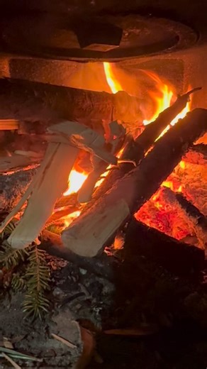 Så här har dagen sett ut :) lite varmare temperaturer mot vad som utlovats. Jag hittade en stormfälld tall att ta ved ifrån och körde en 30 km rundtur för att sen komma tillbaka till kojan igen. Så lyxigt att kunna elda och få värme! Hundarna verkar stortrivas med att vara tillbaka på tur. | Lina Hallebratt