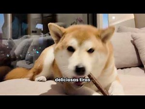 Virbac - Veggiedent Fr3sh - Snacks Saludables