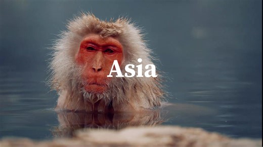 Extraordinary Encounters - Asia - Asian Adventures 🌏 𝗨𝗻𝗹𝗼𝗰𝗸 𝘁𝗵𝗲 𝗪𝗼𝗻𝗱𝗲𝗿𝘀 𝗼𝗳 𝗔𝘀𝗶𝗮! ✨ From the serene temples of Kyoto to the vibrant streets of Bangkok, Asia is a land of contrasts, culture, and incredible experiences. Sail along the Mekong, explore iconic cities, or unwind on paradise beaches—every journey is an adventure waiting to unfold. Where in Asia is calling you? 🌿🏯🏝 Drop your dream destination below! 👇 #asia #southeastasia #ExtraordinaryEncounters #FredHolidays 