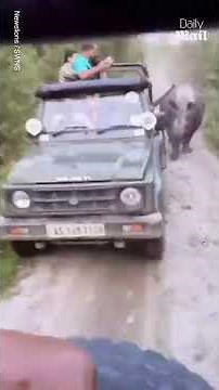 Moment angry rhino charges at safari trucks full of terrified tourists