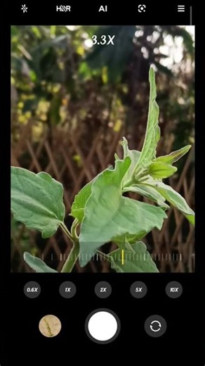 poco f3 gt camera zumming tast you #tube# viral# shot# video