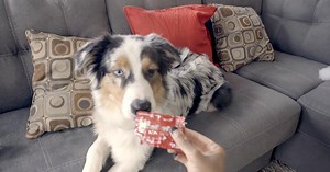 1M views · 2.8K reactions | When something happens to your debit card, life gets a little … messy. Luckily, you can get a temporary card on the spot at any Wells Fargo banking location. Find out more about instant issue debit cards at https://getbankingdone.com/services.html#/convenience | Wells Fargo | Facebook