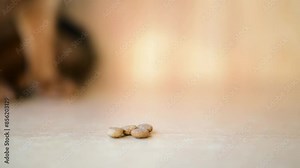 Abyssinian is breed of domestic short-haired cat with distinctive ticked tabby coat, in which individual hairs are banded with different colors. The breed is named for Abyssinia (now called Ethiopia).