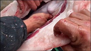 17K views · 321 reactions | Radical Gastronomy - Raising your own...