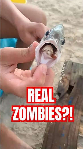 This Is What Real “Zombie Animals” Look Like