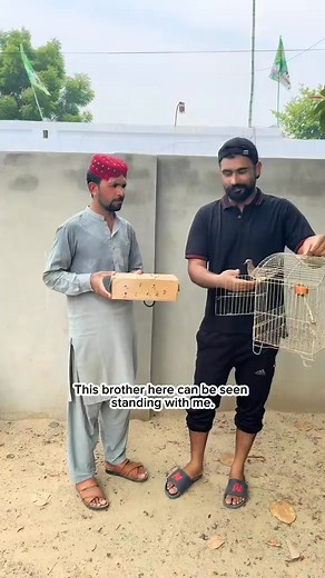 181K views · 5.6K reactions | One of my fans brought a companion bird for my dove bird.... #dove#adilpetshub#wilddove#rescuebirds#minizoo | Adil Pets Hub | Facebook