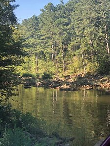 Oklahoma hunting lease now available on HLRBO! Honobia, OK hunting land. $6 per acre. Will split into multiple parcels. Minimum acreage of 500 acres Mountains, pines, hardwoods, clear cuts and streams. Big deer, bears, turkey and hogs. Fishing in the streams. No electricity or water but can dry camp on your area with a generator. RV’s and ATV’s welcome Find out more today on HLRBO! https://www.hlrbo.com/listing/index/55330 | Hunting Land Rentals by Owner | Facebook