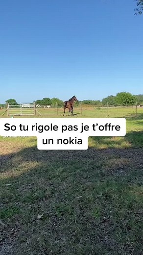 les_zinzin_de_lespace sur TikTok