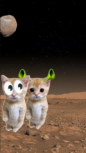 Alien Elgato transform into Elgato & arrives at School 🐱❤️ #catmemes #cat #shorts #fyp #bananacat