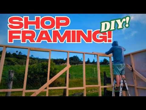 Can I Frame My Own Shop? - DIY Shop Build Episode 2