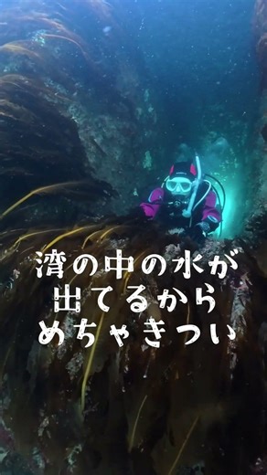 堤防の穴くぐったら…激流😳🌊 #福岡ダイビング #ダイビング初心者#スキューバダイビング #scubadiving #diving#海の仕組み #潮の流れ #海の世界#水中動画 #海好き