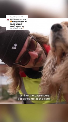 Chad's Heartwarming Story: Dog Rescue in Australia