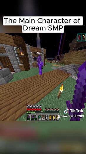 Exploring the Main Character's Adventures in Dream SMP