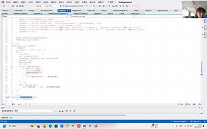 Web专题二讲解视频