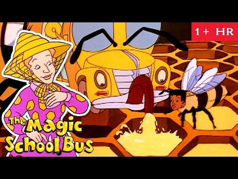 Bees, Light and Archaeology | Full Episodes | The Magic School Bus | Scholastic Classic