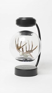 746 reactions · 304 shares | Available now https://www.huntersafetysystem.com/floating-deer-antlers/ | Hunter Safety System | Facebook