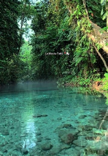 Exploring River Trips in West New Britain, PNG