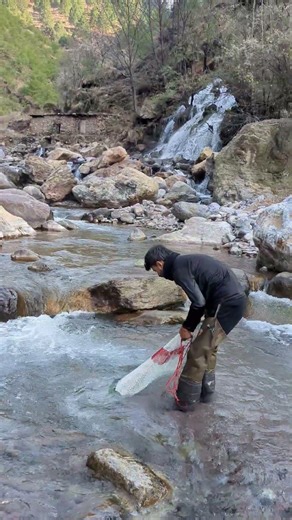 동강 얕은턱 메기 선회 멎었나? 🐠🎣