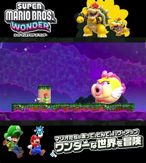 #shorts (Did I corner him!??)??【Super Mario Bros. Wonder Nintendo Switch 2 Edition】#Shorts