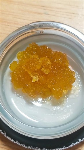 🦖 NEW DROP ALERT! 🦖 Bubbling up from the prehistoric past — Italian Soda Live Resin is here in a massive 4-gram bucket! 🍊✨ Smooth, citrusy, and sparkling with terps, this flavor’s got that fizzy finish you’ll crave again and again. Perfect for the heavy hitters and dab-sauruses who like to go big. 💨 4 GRAM BUCKETS AVAILABLE NOW ⚡ Limited Batch – Premium Potency 🥤 Taste the Spark. Feel the Fizz. #ItalianSoda #LiveResin #DinoApproved #GoBigOrGoExtinct #420Vibes #PremiumExtracts | The DinoDisp