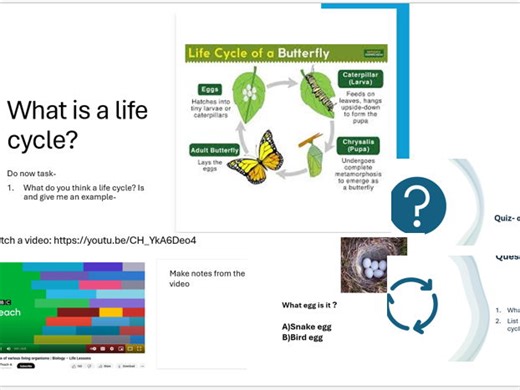 what is a life cycle ? | Teaching Resources