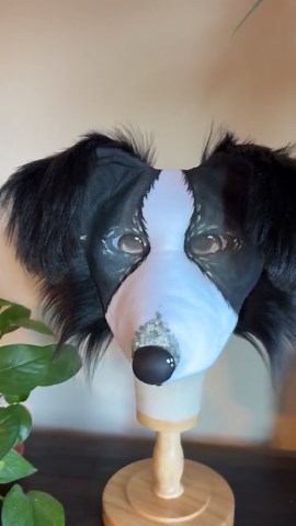 Therian Border Collie Mask - Etsy