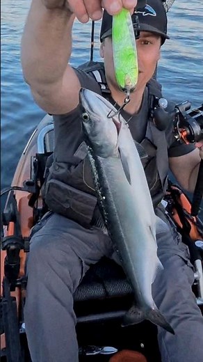 Quick Leadcore salmon fishing tip