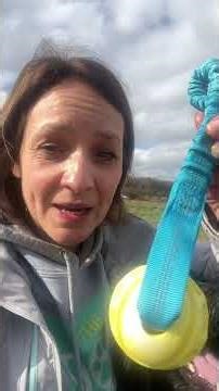 Watch this is your dog is addicted to chasing the ball!