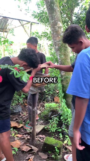 Panen Madu Klanceng: Teknik dan Tips Terbaik