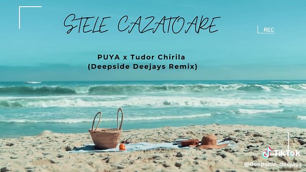 BIG Love ! Stele Cazatoare - Deepside Deejays Official Remix PUYA X TUDOR CHIRILA #puya #tudorchirila #stelecazatoare #remix #fresh #new #radiosong #dj